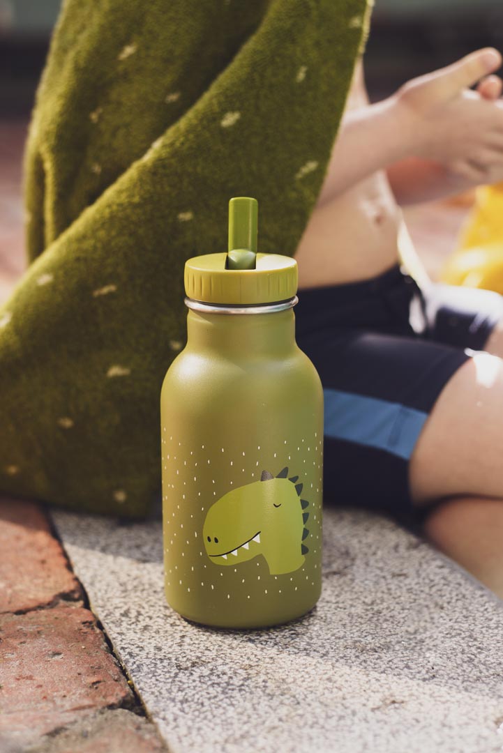 Gourde 350ml - Mr. Dino